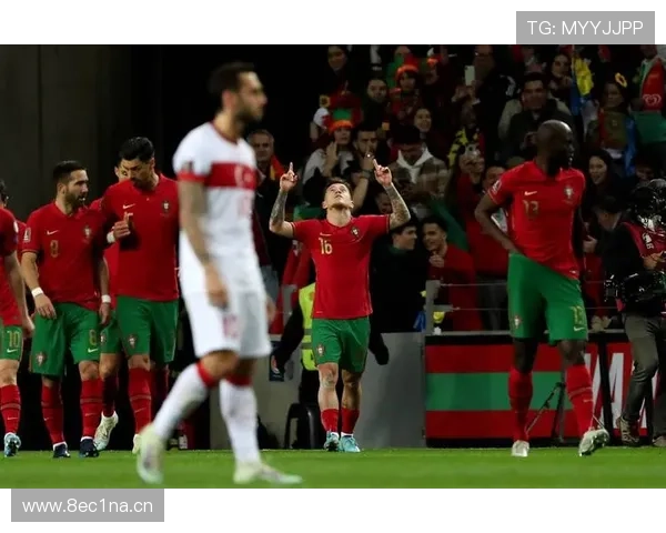 世界杯赛事免费直播全程覆盖畅享精彩瞬间无需付费免费观看所有比赛 - 副本 (2)